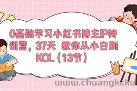 （10764期）0基础学习小红书博主IP特训营，37天 教你从小白到KOL（13节）