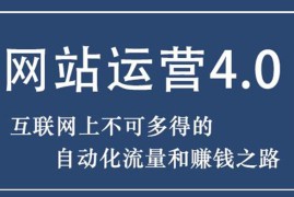 （1831期）暴疯团队网站赚钱项目4.0:网站运营与盈利，实现流量与盈利自动化的赚钱之路