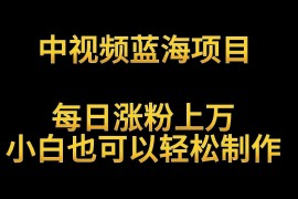 中视频蓝海项目，解读英雄人物生平，每日涨粉上万，小白也可以轻松制作，月入过万