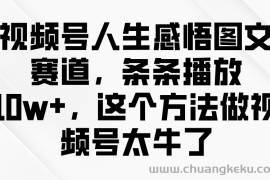 视频号人生感悟图文赛道，条条播放10w+，这个方法做视频号太牛了