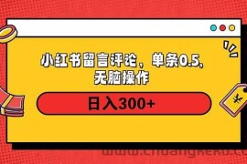 （14044期）小红书评论单条0.5元，日入300＋，无上限，详细操作流程