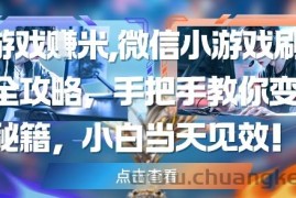 玩游戏挣米，微信小游戏刷广告全攻略，手把手教你变现秘籍，小白当天见效