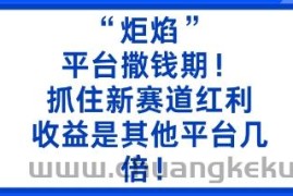 “炬焰”：平台撒钱期！抓住新赛道红利，5分钟二创内容，收益是其他平台几倍！