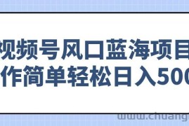 （14276期）视频号风口蓝海项目，操作简单轻松日入500+