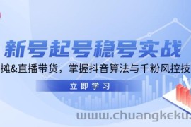 （13071期）新号起号稳号实战：地摊&amp;直播带货，掌握抖音算法与千粉风控技巧