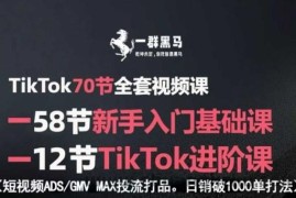 TikTok全套视频课，新手入门+进阶课，短视频ADS-GMV MAX投流打品，日销破1000单打法