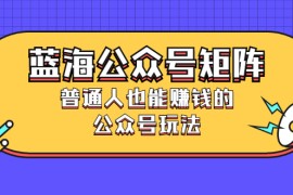 （2459期）蓝海公众号矩阵：普通人也能赚钱的公众号玩法，月入过N万