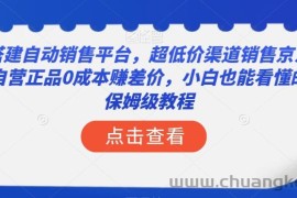 搭建自动销售平台，超低价渠道销售京东自营正品0成本赚差价，小白也能看懂的保姆级教程【揭秘】