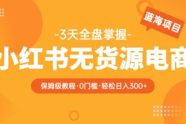 （5912期）2023小红书无货源电商【保姆级教程从0到日入300】爆单3W