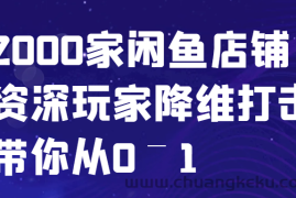 闲鱼已经饱和？纯扯淡！2000家闲鱼店铺资深玩家降维打击带你从0–1