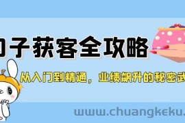 从入门到精通，勾子获客全攻略，业绩飙升的秘密武器