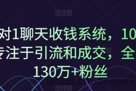 1对1聊天收钱系统，10年专注于引流和成交，全网130万+粉丝