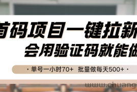 首码项目一键拉新，会用验证码就能做 单号一小时70+，批量做每天500+