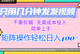 （12159期）只用几分钟发发视频，不需剪辑，无需成本投入，简单上手，矩阵操作轻松…