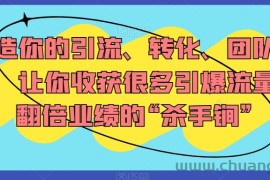 打造你的引流、转化、团队系统，让你收获很多引爆流量、翻倍业绩的“杀手锏”