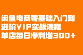 （2082期）闲鱼电商零基础入门到进阶VIP实战课程，单店每日净利增300+