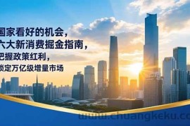 （16995期）某付费文章：国家看好的机会，六大新消费掘金指南，把握政策红利，锁定万亿级增量市场