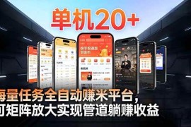 （16833期）99盒子自动挂机项目，单机20+，可矩阵放大实现管道躺赚收益，推广可享团队收益