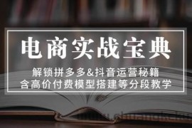 （13195期）电商实战宝典 解锁拼多多&amp;抖音运营秘籍 含高价付费模型搭建等分段教学