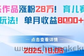 18条作品涨粉28W，育儿赛道新玩法，单月收益8k