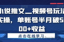 小说推文—视频号玩法实操，单账号半月破5000+收益