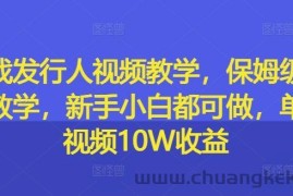 游戏发行人视频教学，保姆级实操教学，新手小白都可做，单条视频10W收益