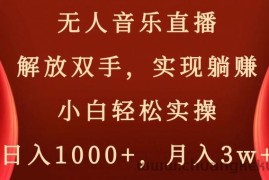 无人音乐直播，解放双手，实现躺赚，小白轻松实操，日入1000+，月入3w+【揭秘】