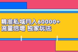 （2353期）精准私域月入60000+ 流量倍增 独家玩法（9节视频课）