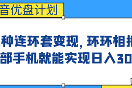 （6800期）影音优盘计划，三种连环套变现，环环相扣，一部手机就能实现日入300+