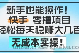 新手也能操作，快手零撸挣米，轻松每天挣2-5张，完全无成本
