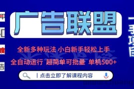 （13258期）广告联盟 全新多种玩法 单机500+  全自动运行  可批量运行