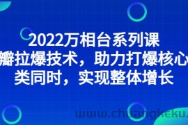 （2832期）2022万相台系列课：最新拉爆技术，助力打爆核心品类同时，实现整体增长