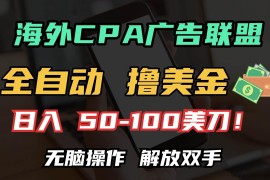 （13593期）海外CPA全自动撸美金, 日入100＋美金, 无脑操作，解放双手