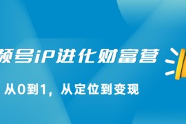 （2115期）视频号iP进化财富营，从0到1，从定位到变现赚钱