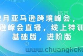 12月亚马逊跨境峰会， 亚马逊峰会直播，线上特训营基础版，进阶版