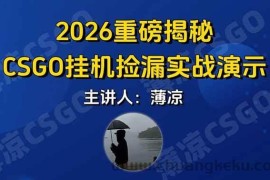 （17258期）CSGO游戏挂机游戏搬砖最新升级，普通小白一部手机可日入300+当天见结果，支持验证