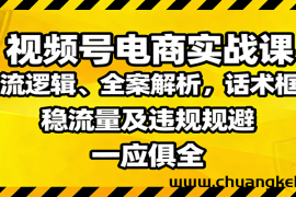 视频号电商实战课：推流逻辑、全案解析，话术框架，稳流量及违规规避等