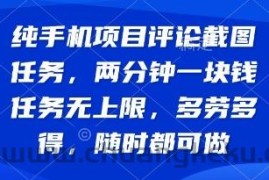 纯手机项目评论截图任务，两分钟一块钱 任务无上限多劳多得，随时随地都能做【揭秘】