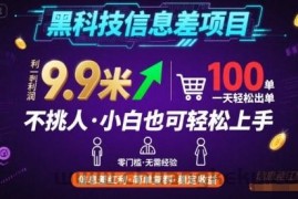 黑科技信息差项目，一单利润9.9米，一天简简单单出100单，不挑人，小白也可轻松上手【揭秘】