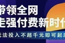 王校长拼多多无限活动流，带领全网走强付费新时代，玩法投入不超千元即可起店