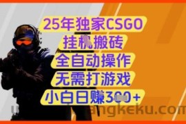 25年独家CSGO挂G搬砖，全自动操作，无需打游戏，小白日入3张+【揭秘】