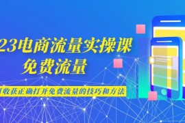 （6880期）2023电商流量实操课-免费流量，学会可收获正确打开免费流量的技巧和方法