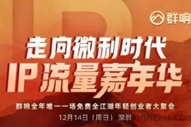 2025ip嘉年华万人12月14深圳线下课，走向微利时代，IP流量嘉年华，实操性极强的商业干货课