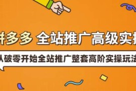 拼多多全站推广高级实操：从破零开始全站推广整套高阶实操玩法