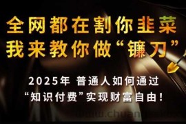 全网都在割你韭菜，我来教你做镰刀,2025普通人如何通过知识付费，实现财F自由【揭秘】