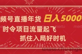 视频号直播年货，时令项目流量起飞，抓住入局好时机，日入5000+【揭秘】