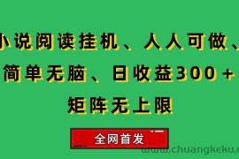 （15413期）小说挂机阅读，人人可做，简单无脑，一天收益300＋矩阵无限上