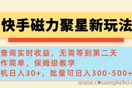 （14201期）快手磁力新玩法，可查询实时收益，单机30+，批量可日入300-500+