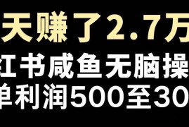 （14183期）最赚钱项目之一，2025爆火，逆风翻盘！