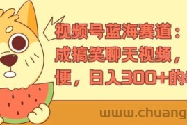 视频号蓝海赛道：AI 生成搞笑聊天视频，操作简便，日入300+的教程【揭秘】